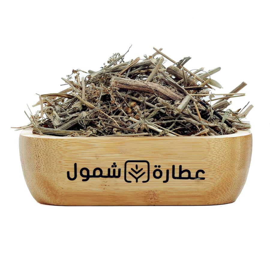 الدمسيسة