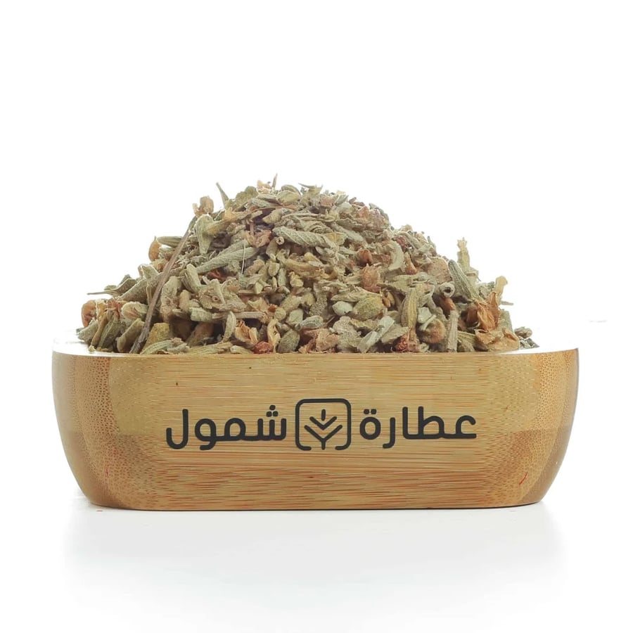 زهرة الربيع المسائية - عطارة شمول