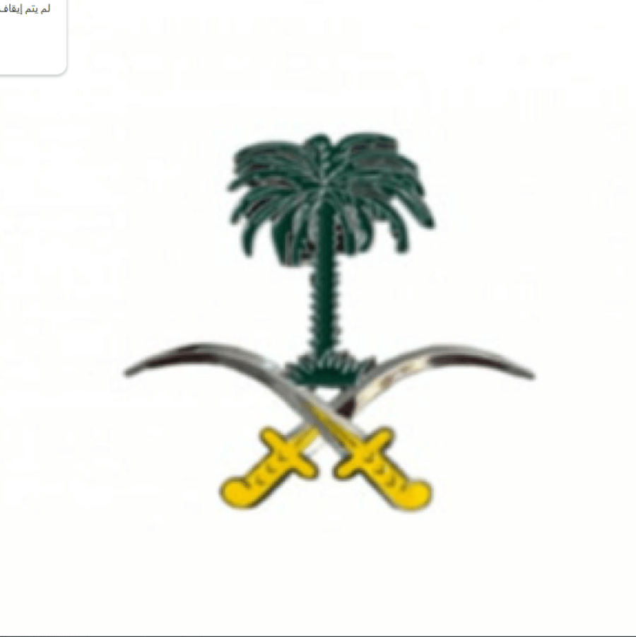 علامة شبك سيفين ونخلة فضي