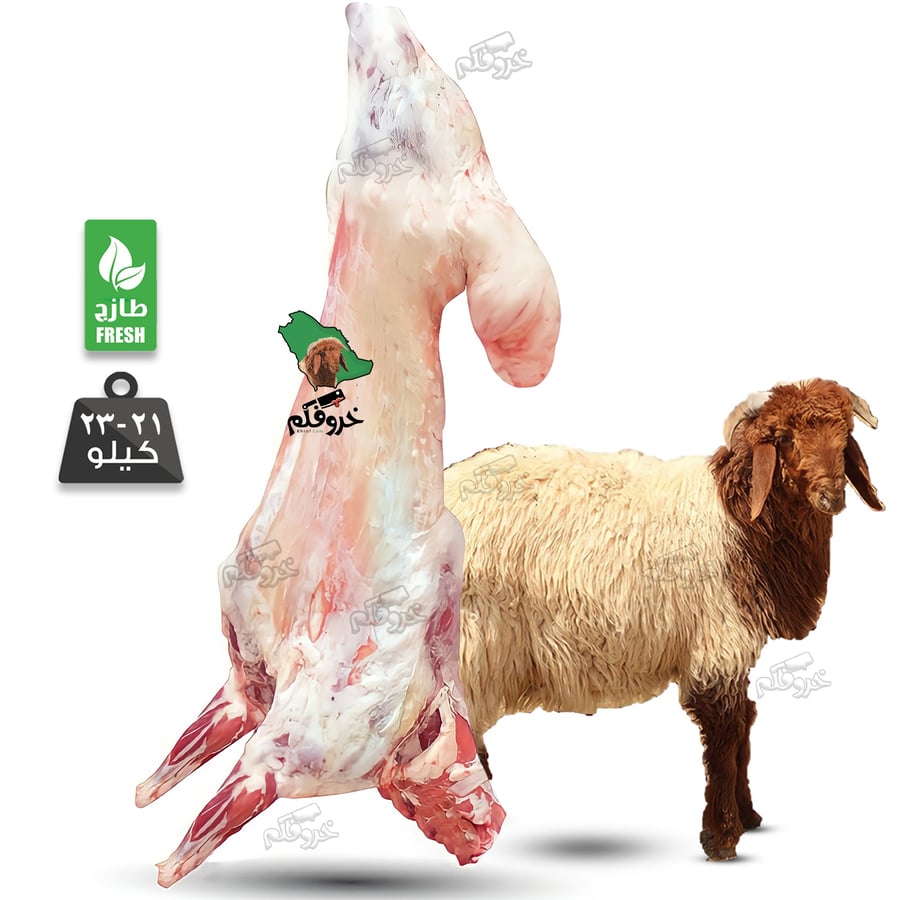 خروف نعيمي كامل                  وزن 21 الى 23 Kg
