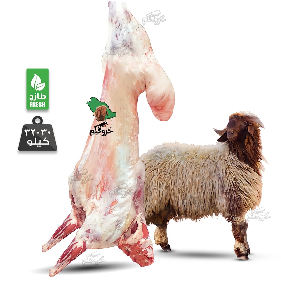 خروف نعيمي كامل                     وزن 30 الى 32 Kg