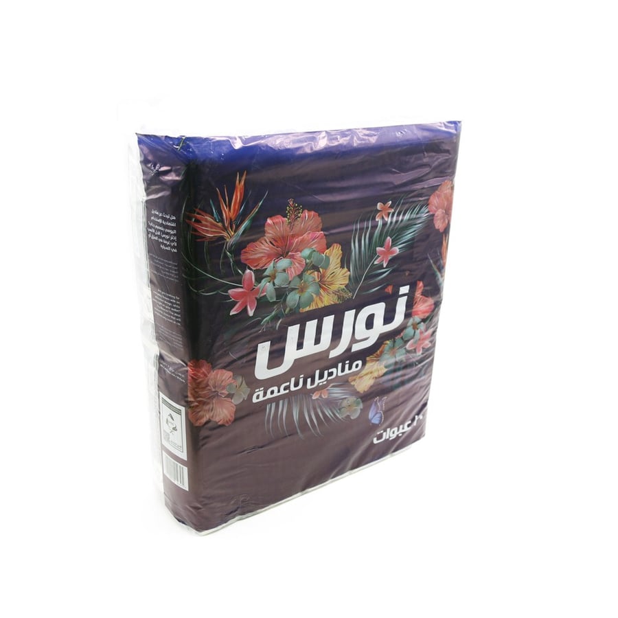 نورس مناديل ناعمة 10 عبوات