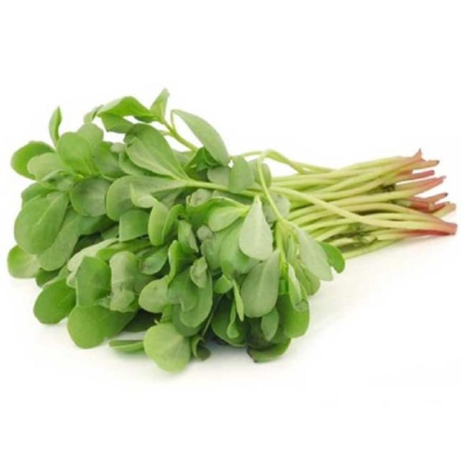 Purslane