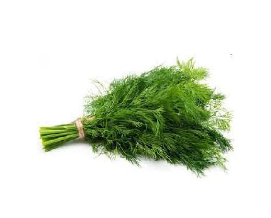 شبث طازج 5 حبات