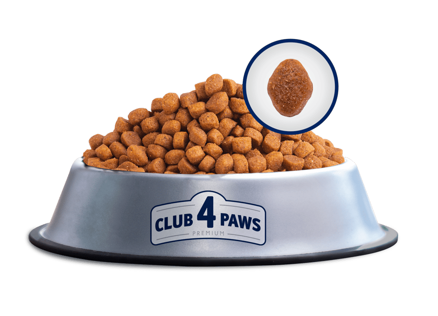 طعام جاف للقطط ان دور دجاج CLUB 4 PAWS