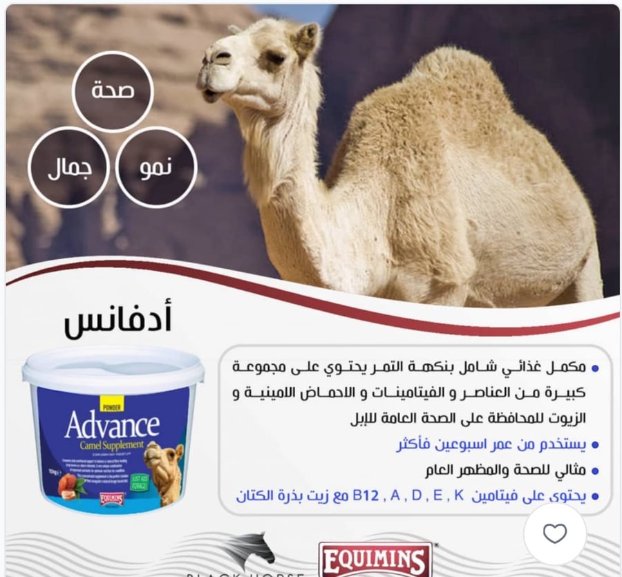 ادفانس الإبل - 2 كيلو