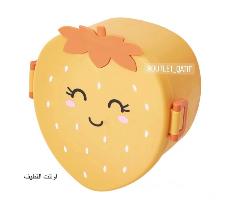 صندوق طعام (لانش بوكس)