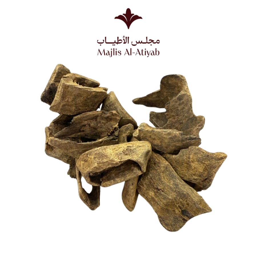 عود سيلاني مستزرع