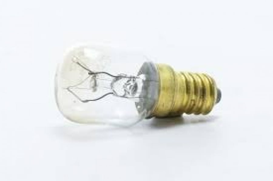 55304066
