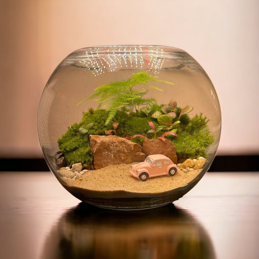 تيراريوم - Terrarium