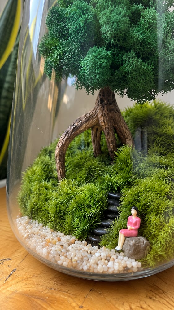 تيراريوم - Terrarium