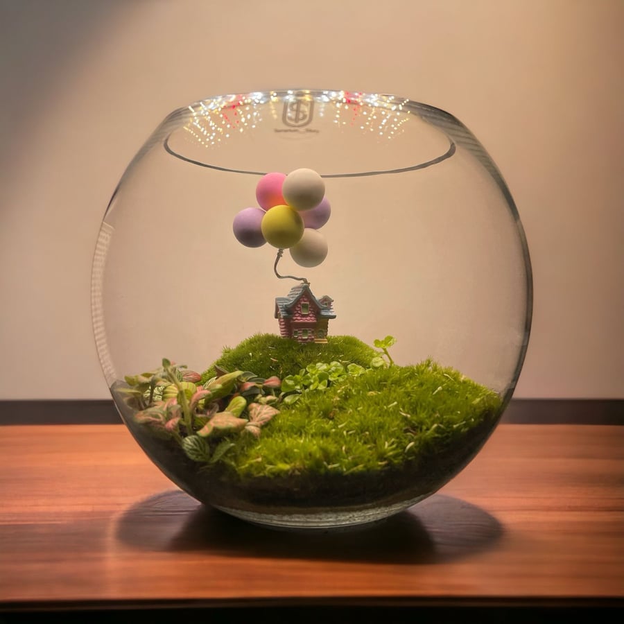 تيراريوم - Terrarium