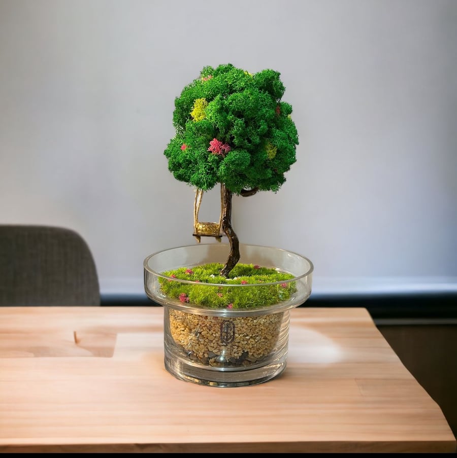 تيراريوم - Terrarium