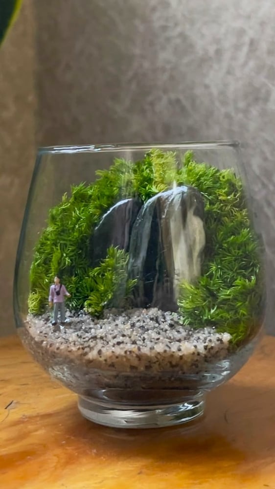 تيراريوم - Terrarium
