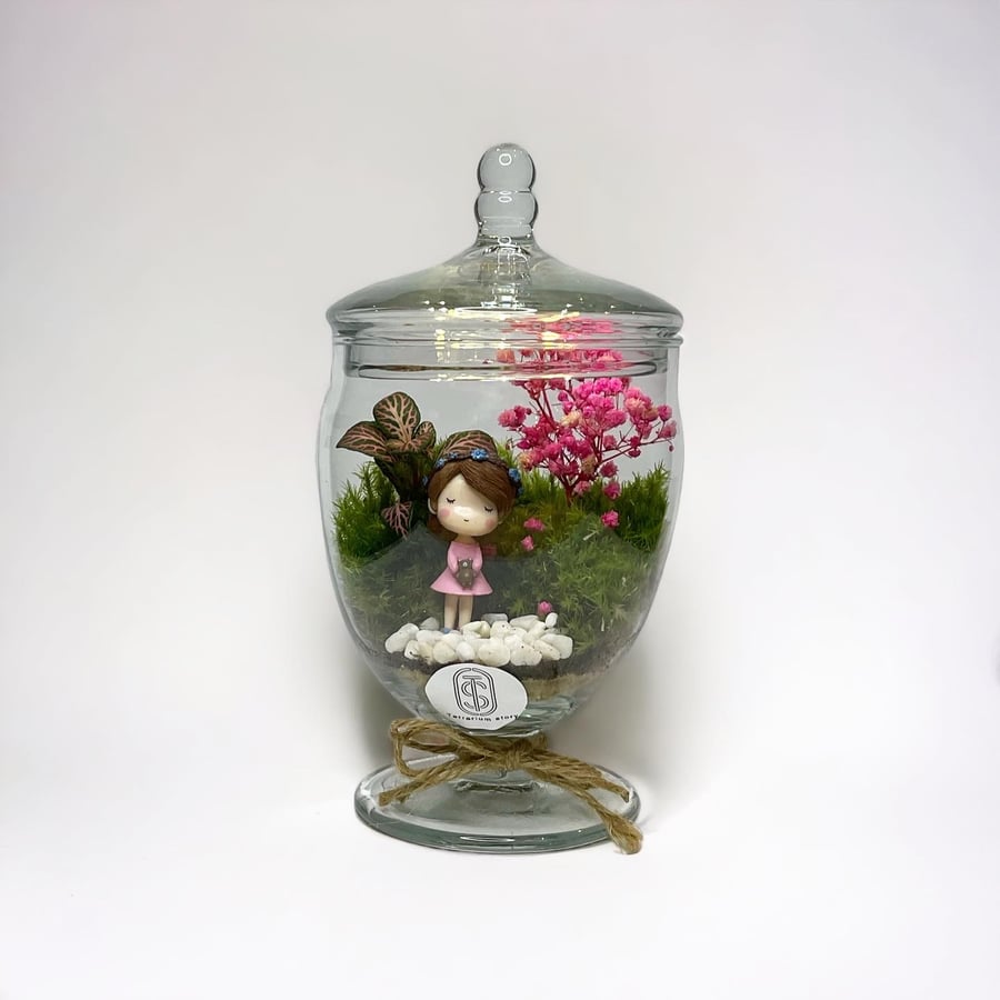 تيراريوم - Terrarium