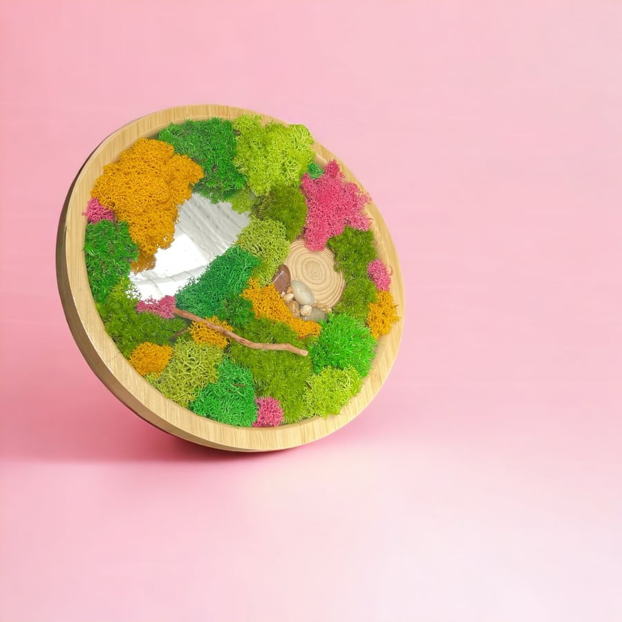 تيراريوم - Terrarium