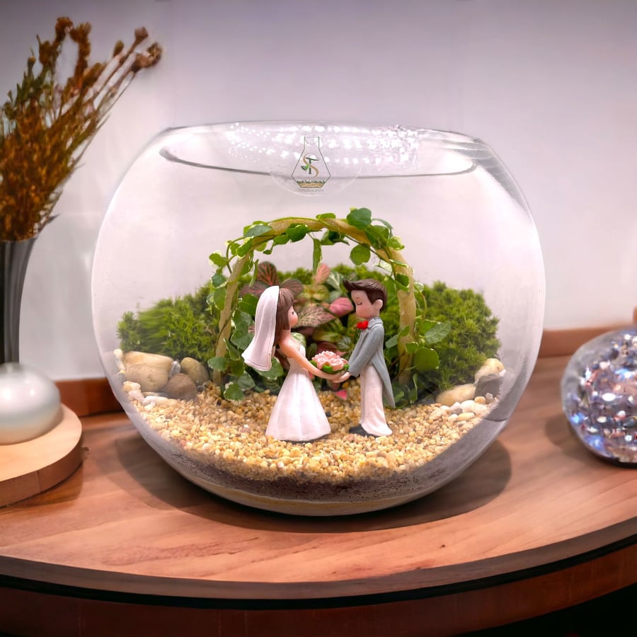 تيراريوم - Terrarium