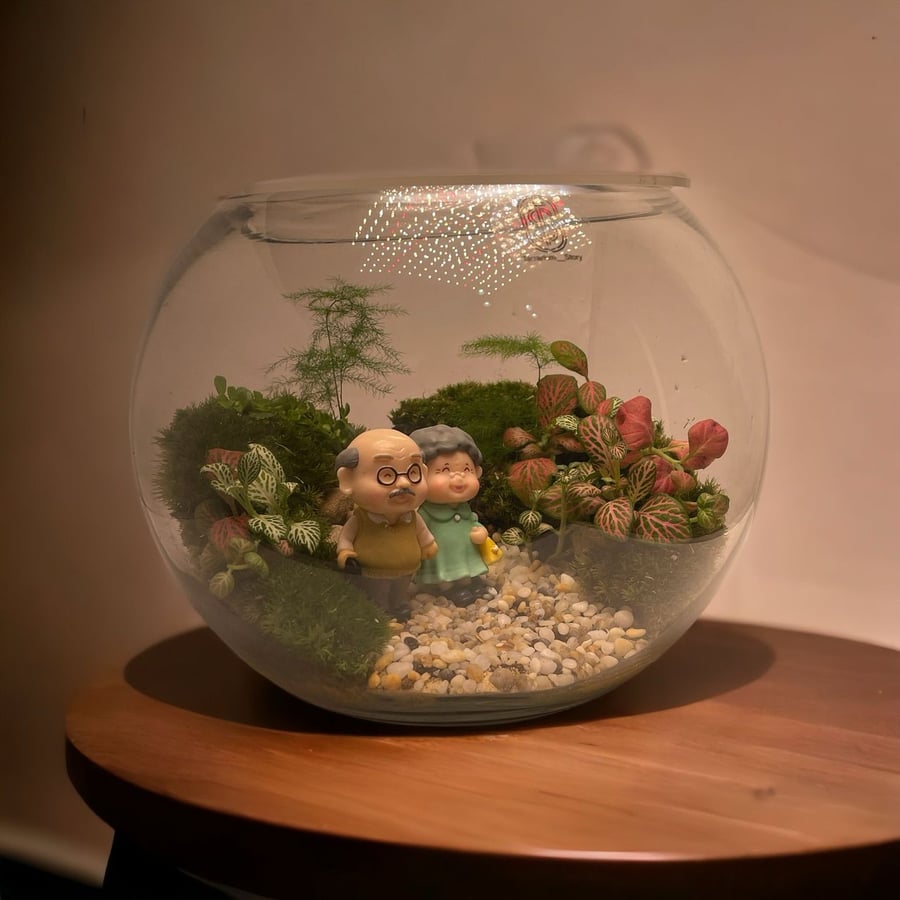 تيراريوم  - Terrarium