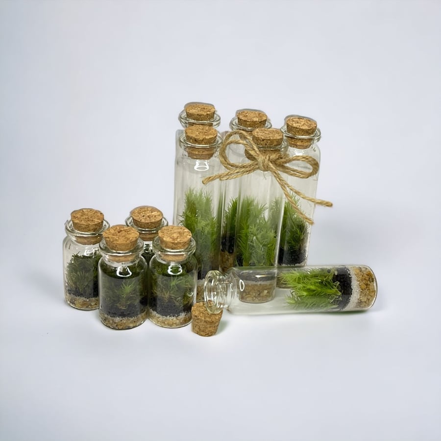 توزيعات تيراريوم - Terrarium