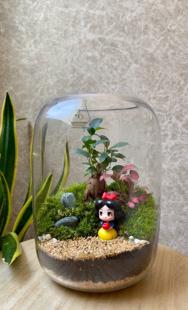 تيراريوم - Terrarium