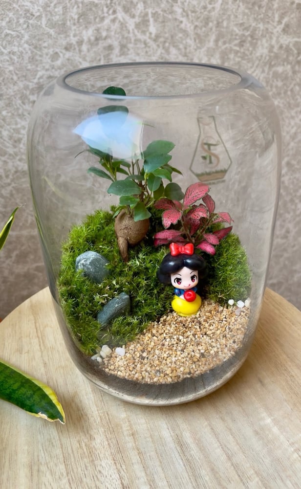 تيراريوم - Terrarium