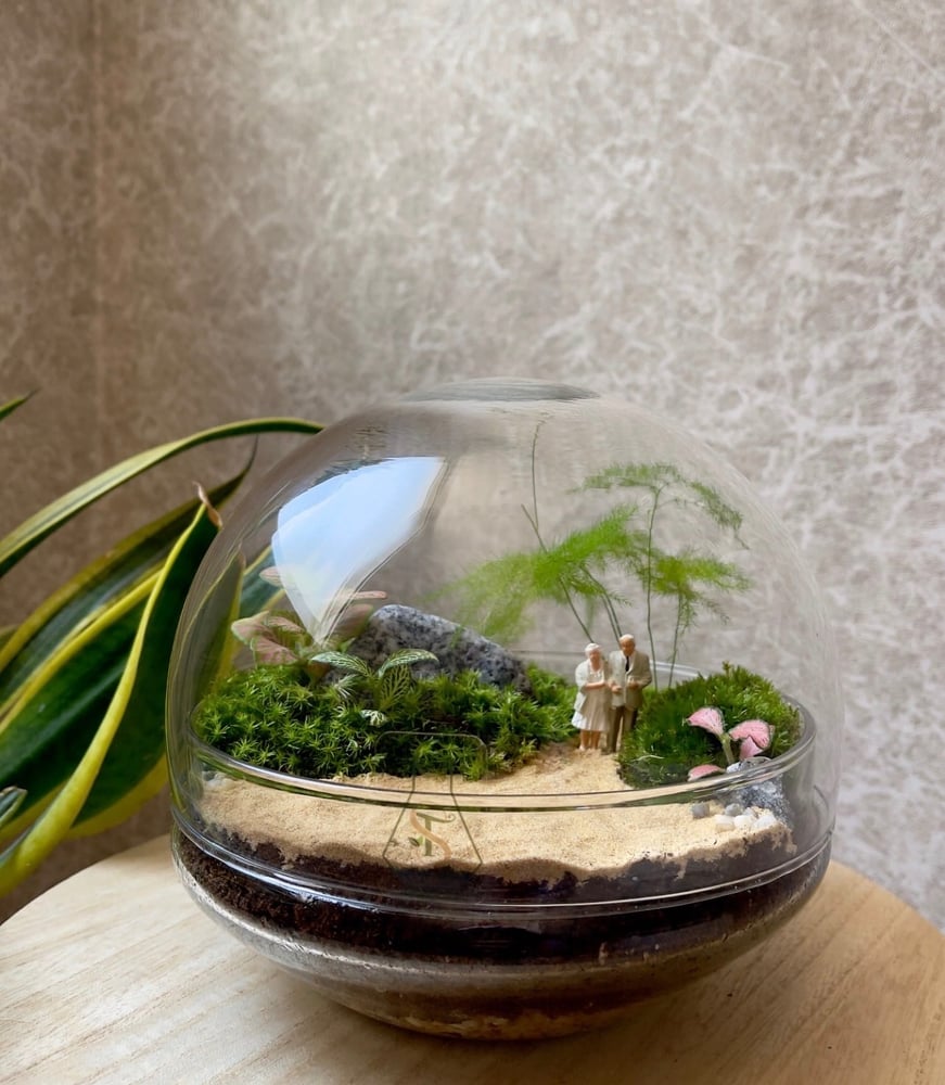 تيراريوم - Terrarium
