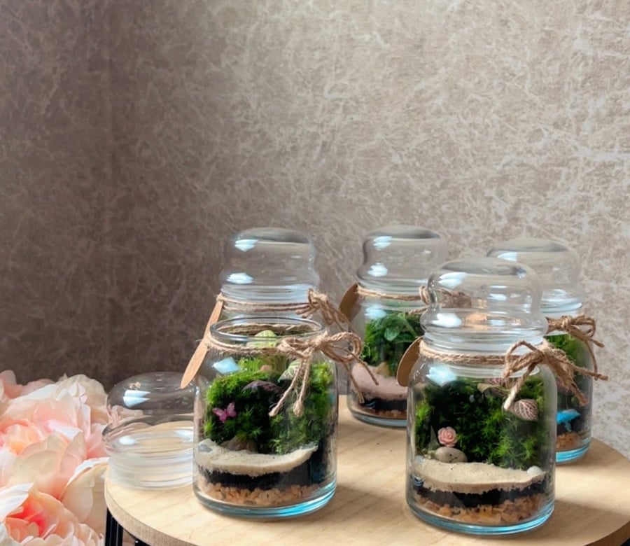 تيراريوم - Terrarium