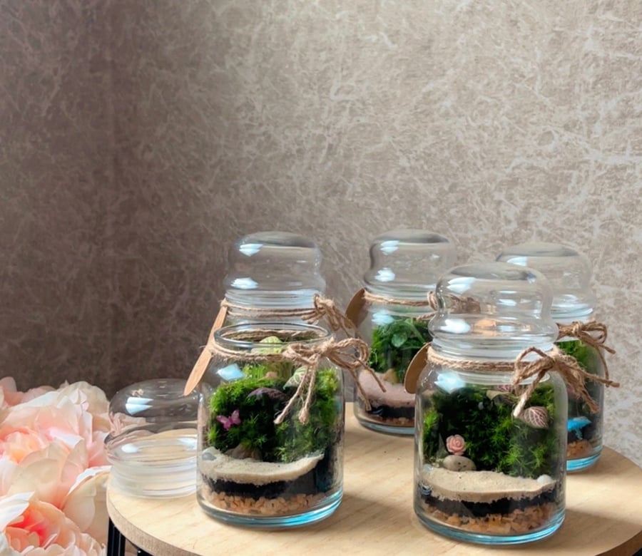 تيراريوم - Terrarium