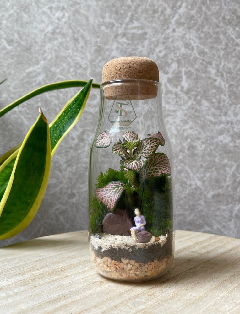 تيراريوم - Terrarium