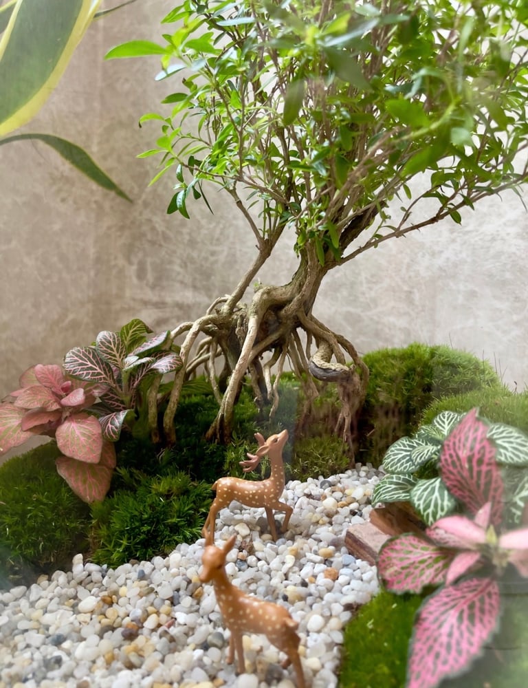 تيراريوم - Terrarium