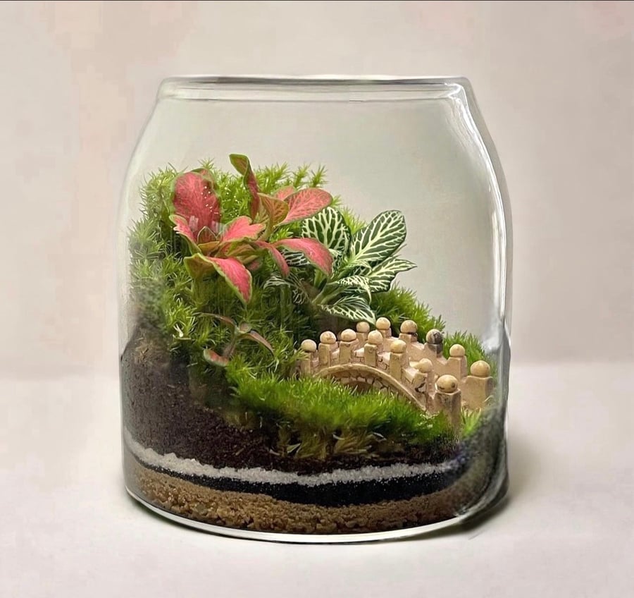 تيراريوم - Terrarium