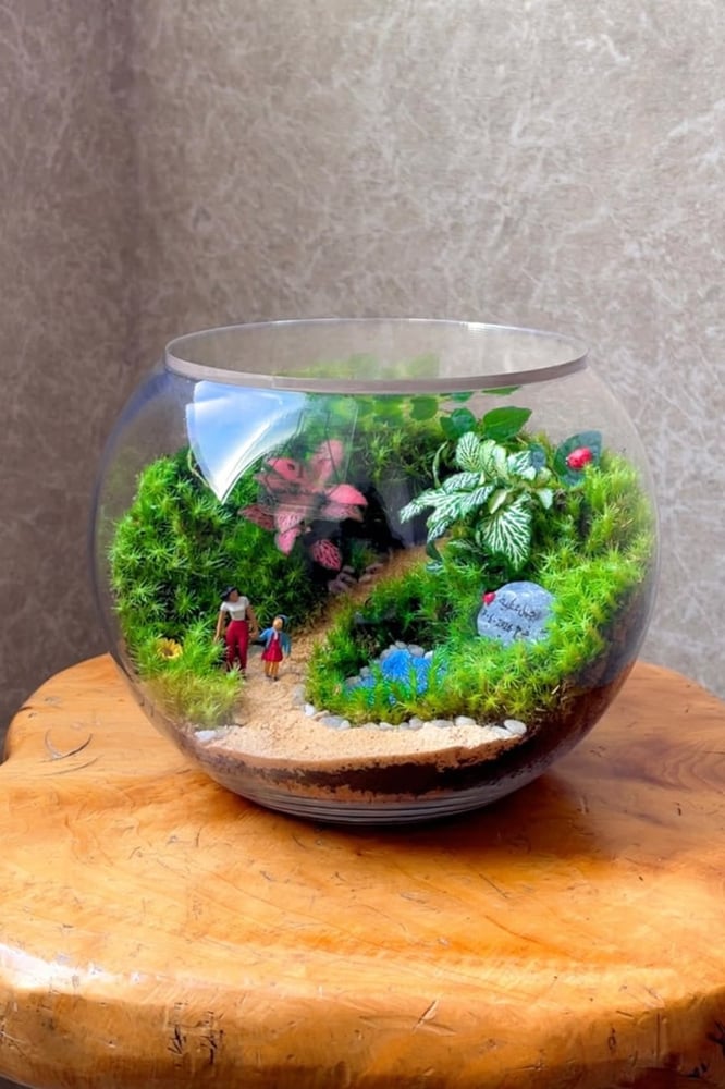تيراريوم - Terrarium