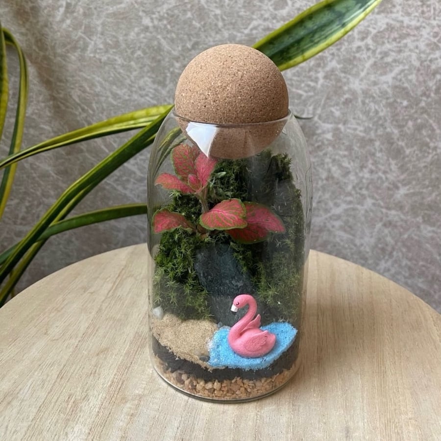 تيراريوم - Terrarium