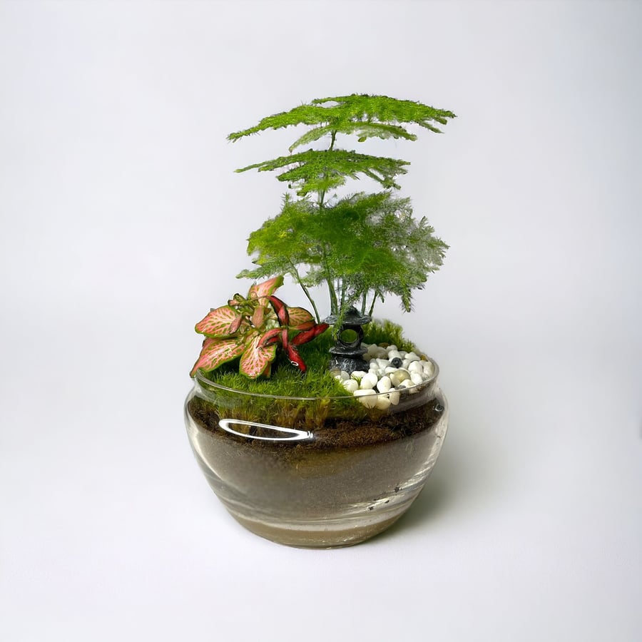 تيراريوم - Terrarium