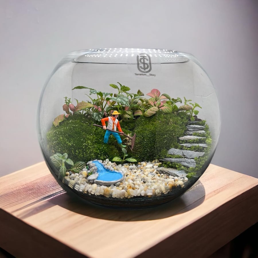 تيراريوم - Terrarium