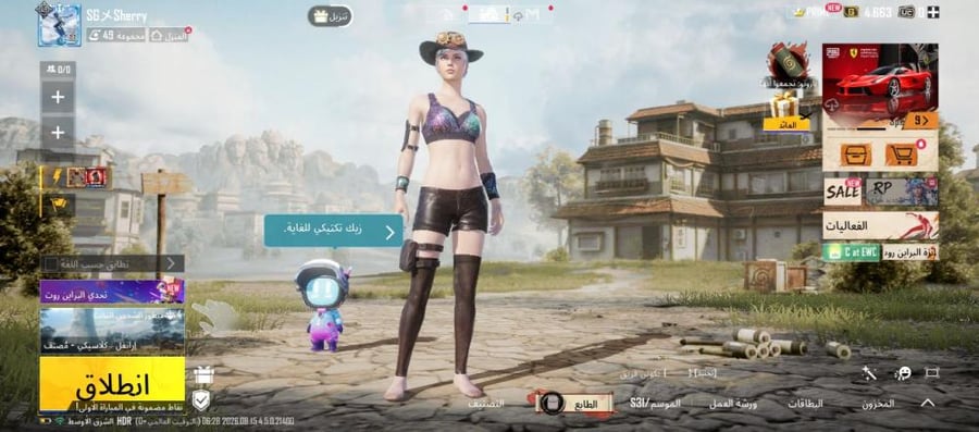 حساب ببجي عالمية لفل66/ فيس البنت/ 49مثيك/ ربط ايميل + رقم