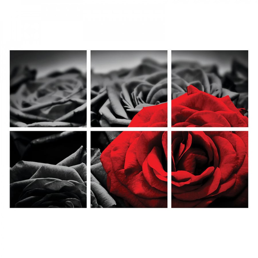 Wall art printed on lightweight board without frame size 40 × 40 cm quantity 6 pieces