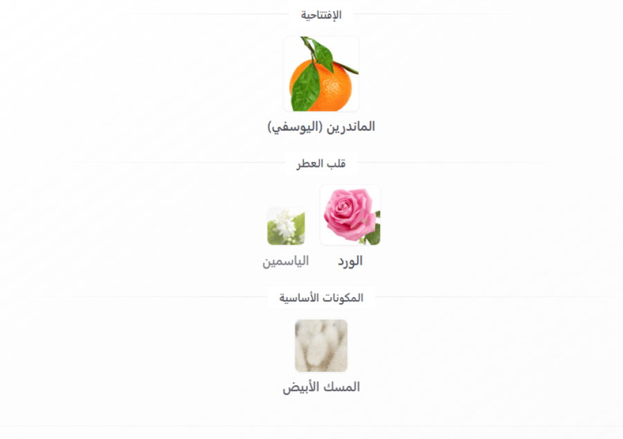 Coco Mademoiselle L'Eau Privée كوكو شانيل مادموزيل لو بريفيه