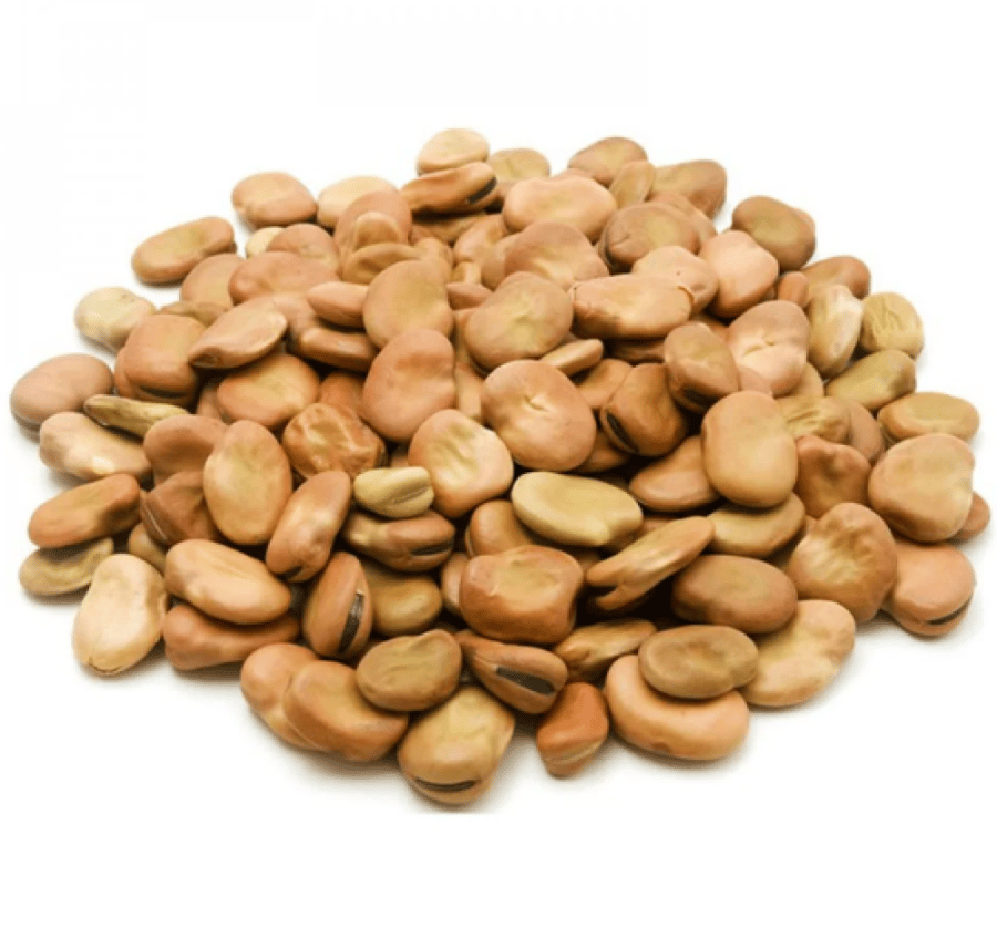 دوحة الريف فول مصري 500غم