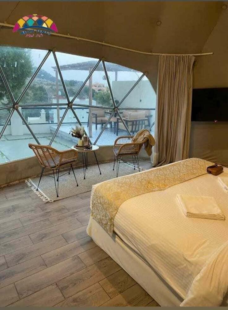 Dome Tent and Circular Tent 6m