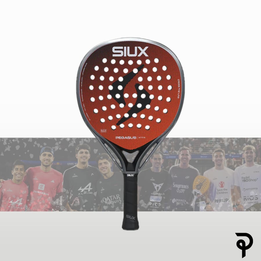 Siux Pegasus Elite 4 2026