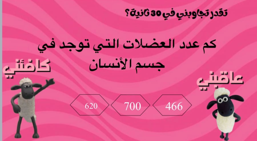 فعاليات عيد الأضحى