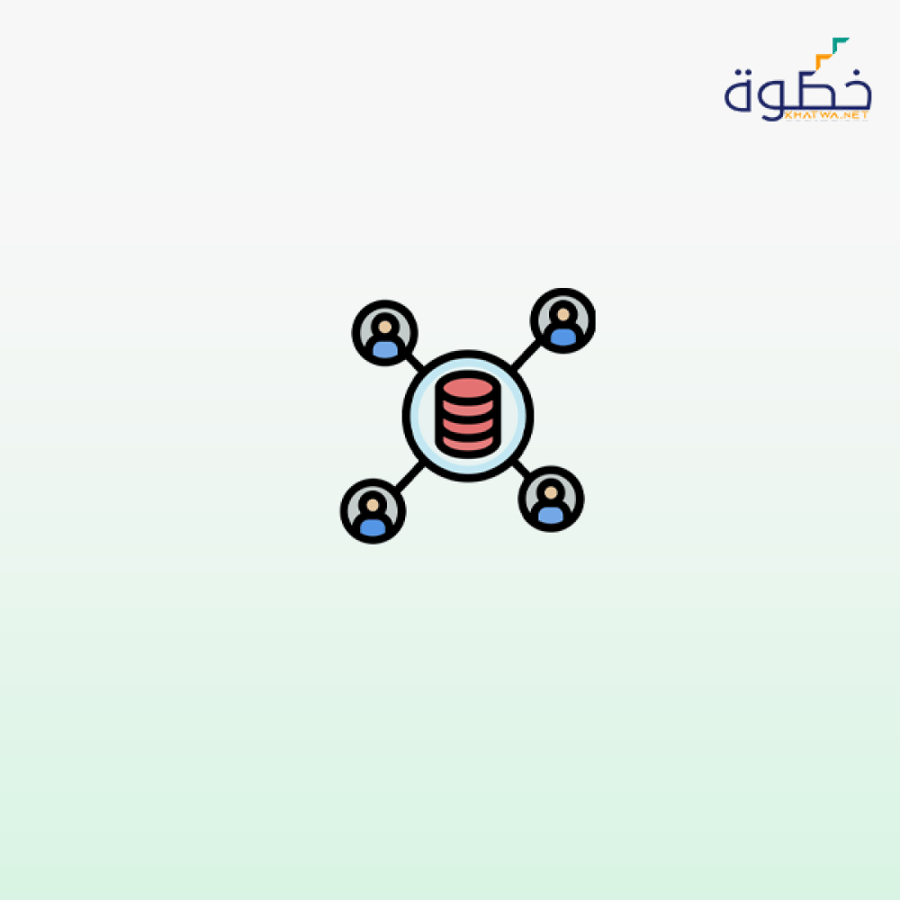 شبكة البيانات