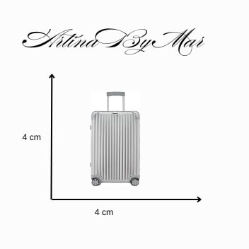 7 - RIMOWA Check-In M bag