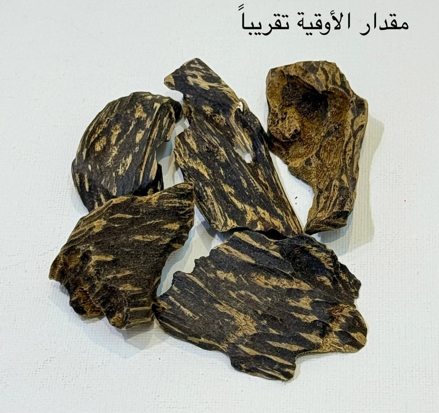 عود الچار الفيتنامي المحسن