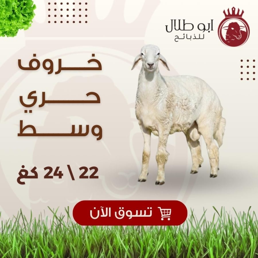 خاروف حري وسط