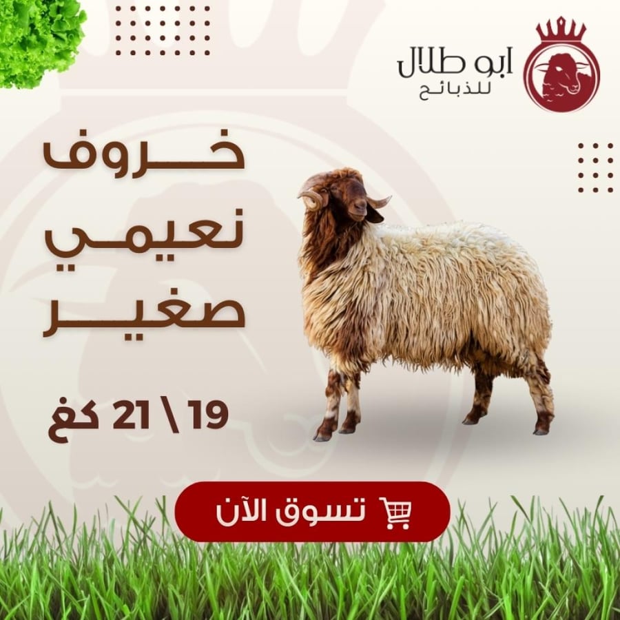 خاروف نعيمي صغير