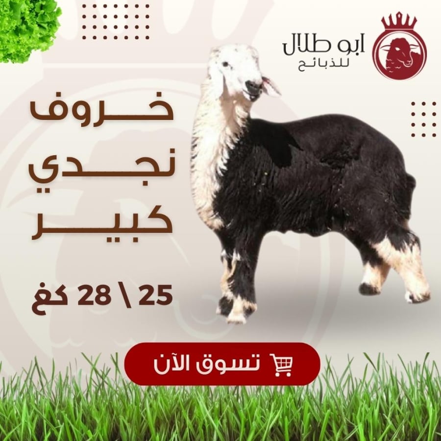 خاروف نجدي