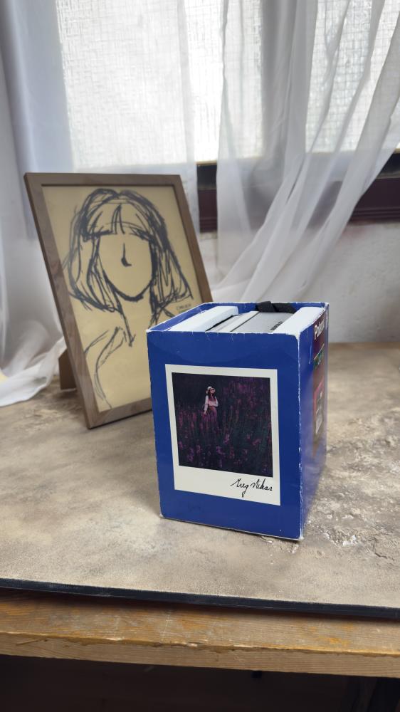 Camera polaroid