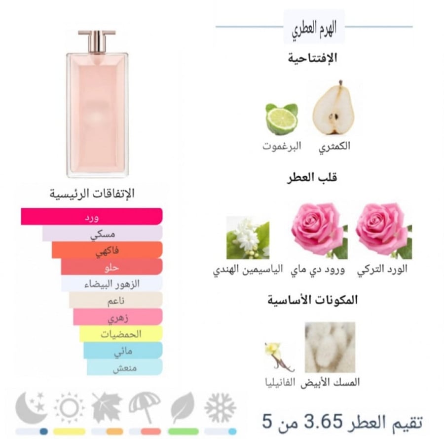 عطر دول الساتيس 75مل - افانتي للعطور